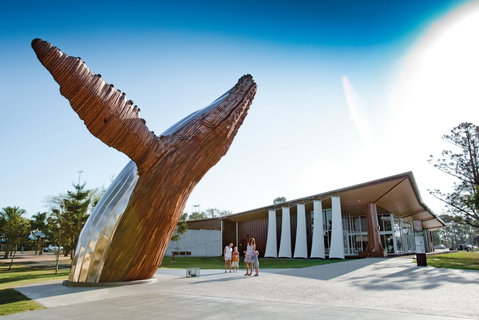 Pialba - Sydney Tourism 1
