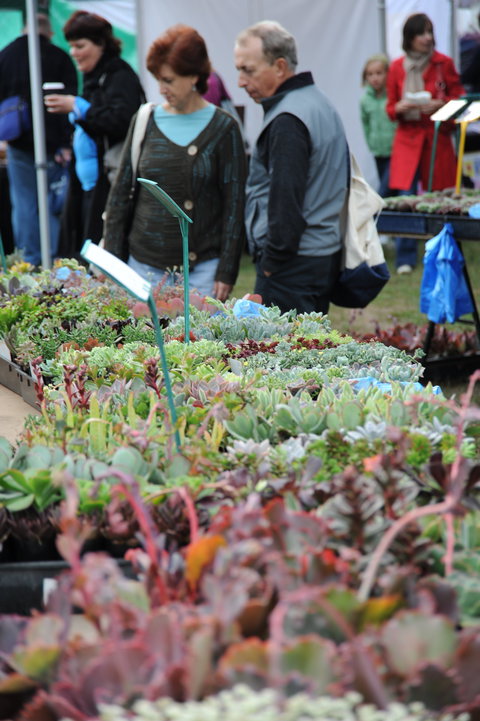 Portsea Market - Sydney Tourism 0