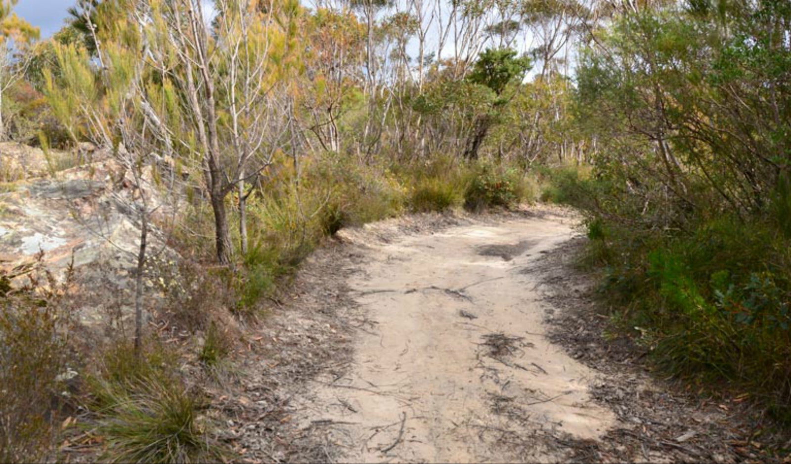Browns Mountain NSW Sydney Tourism