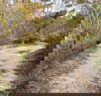 Red Rocks trig walking track - Sydney Tourism