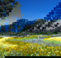 Shearer's Way - Sydney Tourism