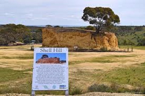 Shell Hill Reserve - Sydney Tourism 0