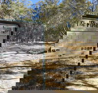 The Pines Conservation Reserve - Sydney Tourism