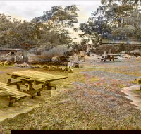 Thredbo River picnic area - Sydney Tourism