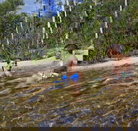 Tjaynera Falls Sandy Creek - Sydney Tourism