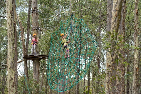 TreeTops Newcastle - Sydney Tourism 0