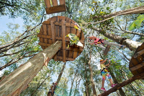 TreeTops Newcastle - Sydney Tourism 1