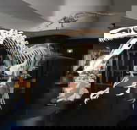 UNE Natural History Museum - Sydney Tourism