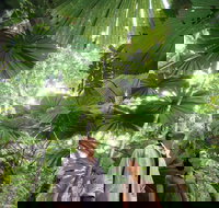 Wet Tropics Rainforest - Sydney Tourism