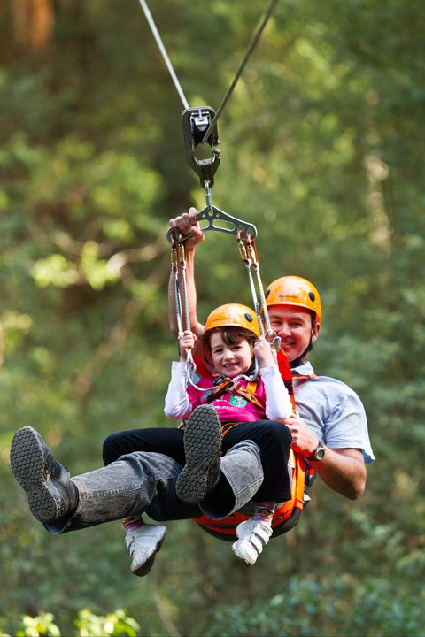 Zipline At Illawarra Fly - Sydney Tourism 0