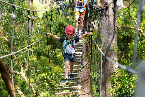 Zipline At Illawarra Fly - Sydney Tourism 1