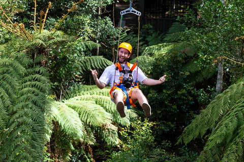 Zipline At Illawarra Fly - Sydney Tourism 2