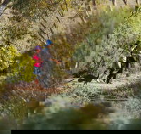 Australian Arid Lands Botanic Garden - Sydney Tourism