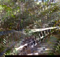 Awaba Bay Foreshore Walk - Sydney Tourism