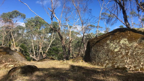 Bailey's Rocks - Dergholm State Park - Sydney Tourism 0