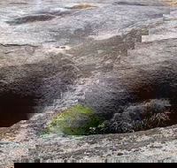 Blowhole and the Rocks - Sydney Tourism