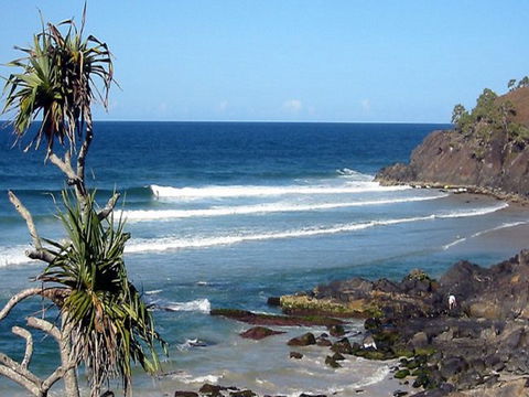 Cabarita Beach - Sydney Tourism 0
