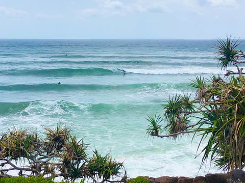 Cabarita Beach - Sydney Tourism 2