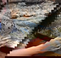 Canberra Reptile Zoo - Sydney Tourism