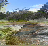 Christmas Rock Walk - Sydney Tourism