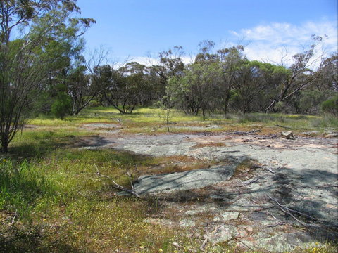 Christmas Rock Walk - Sydney Tourism 0