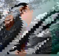 Cleland Wildlife Park - Koala Hold - Sydney Tourism