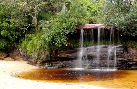 Collins Flat Beach - Sydney Tourism 0