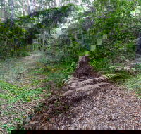 Double Wharf Trail - Sydney Tourism