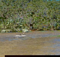 Fitzpatrick Park - Sydney Tourism