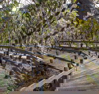 Governor Summit Corrunbral Borawah Walking Track - Sydney Tourism