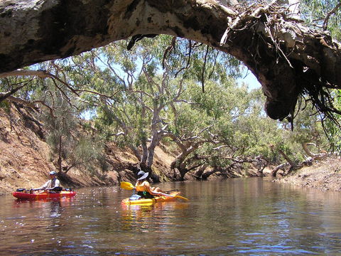 Greenough River Nature Trail - Sydney Tourism 1