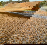 Gunning Golf Club - Sydney Tourism