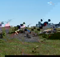 Jim Salmon  Wetland Education Site - Sydney Tourism