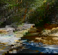 Jumrum Creek Walk Jumrum Creek Conservation Park - Sydney Tourism