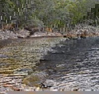 Lake Rowallan - Sydney Tourism