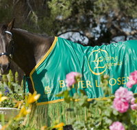 Living Legends The International Home of Rest for Champion Horses - Sydney Tourism