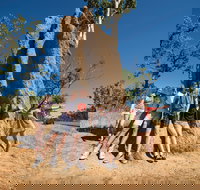 Magnetic Termite Mounds - Sydney Tourism