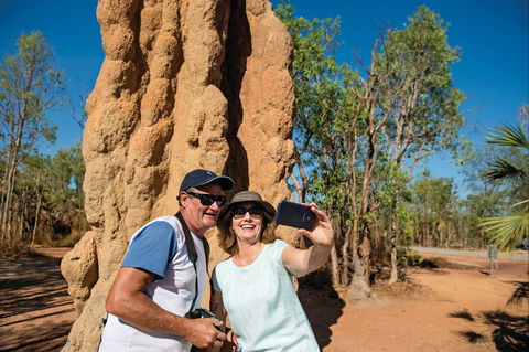 Magnetic Termite Mounds - Sydney Tourism 1
