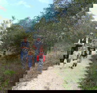 Meningie Lions Walking Trail - Sydney Tourism