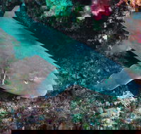 Middle Reef Dive Site