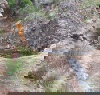 Mill-bullah Walking Track - Sydney Tourism