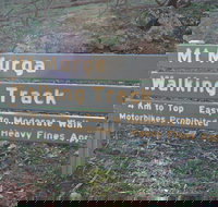 Mount Murga Walking Track - Sydney Tourism