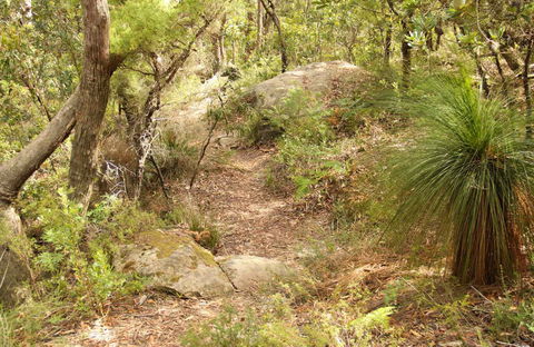 Mount Carnarvon Walking Track - Sydney Tourism 0
