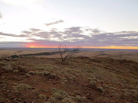 Mundi Mundi Plains - Sydney Tourism 0