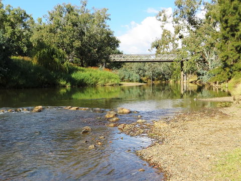 Namoi River And Woolshed Reserve - Sydney Tourism 0
