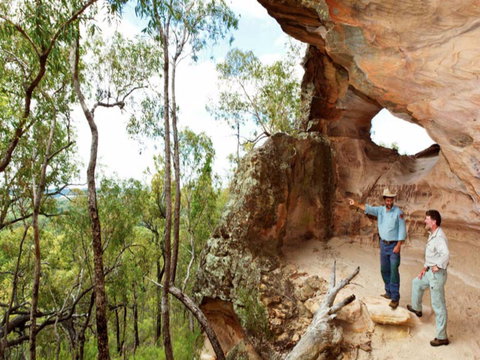 Pilliga Forest - Sydney Tourism 0