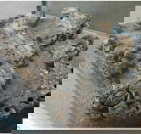 Pioneer Valley Museum - Sydney Tourism