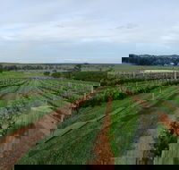 Razorback Cawdor Camden Park - Sydney Tourism