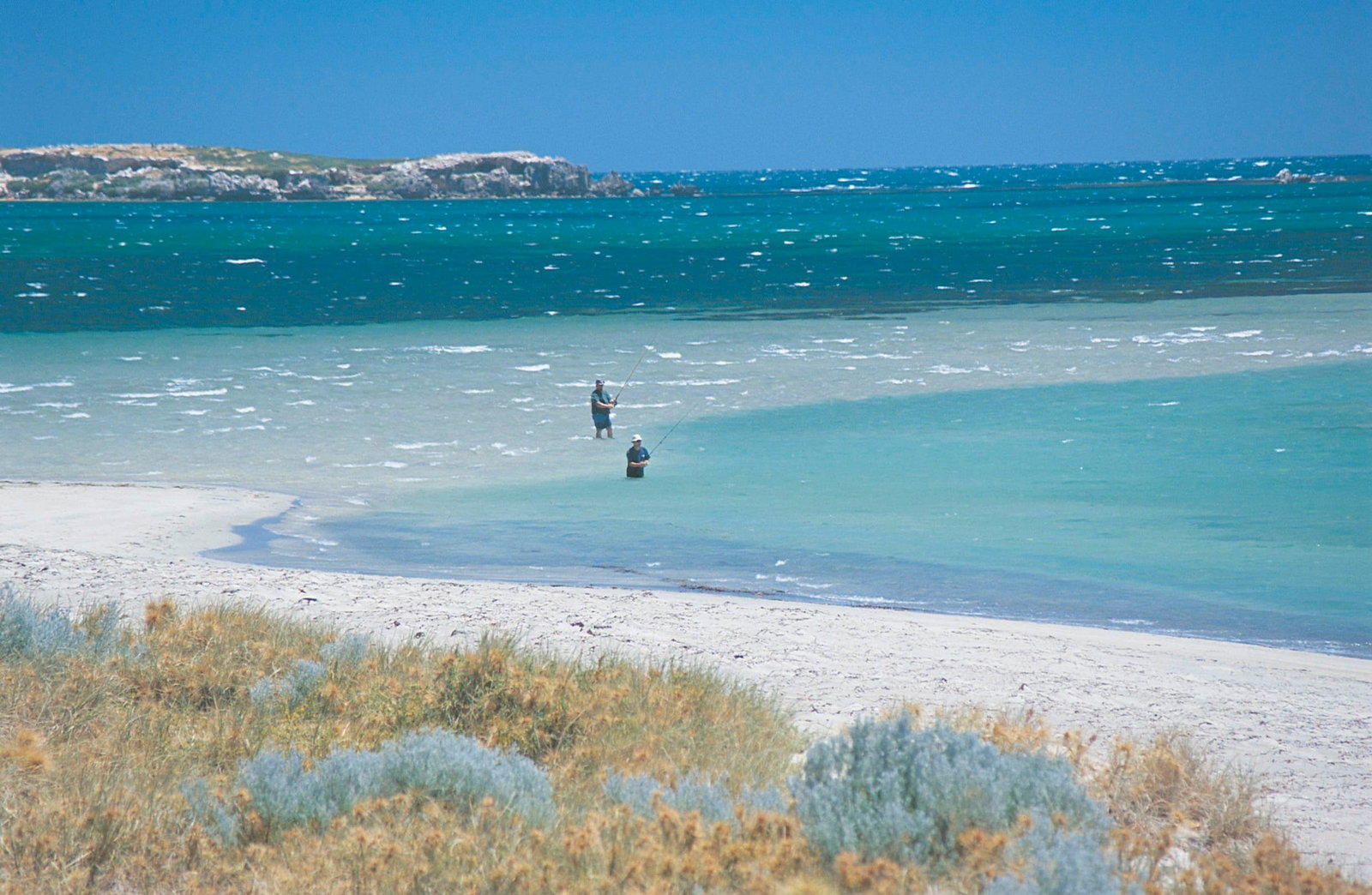 Singleton WA Sydney Tourism