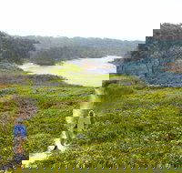 Station Creek - Sydney Tourism